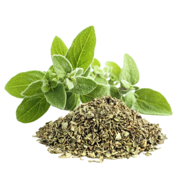 Albahaca