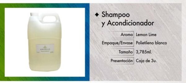Shampoo y Acondicionador